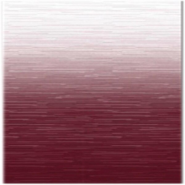Auto Usa 19 ft. 2 in. Universal Fabric Burgundy Shale Fade White Weatherguard AU2604403 - main